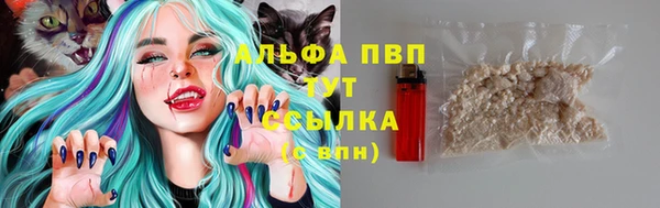 сатива Абинск