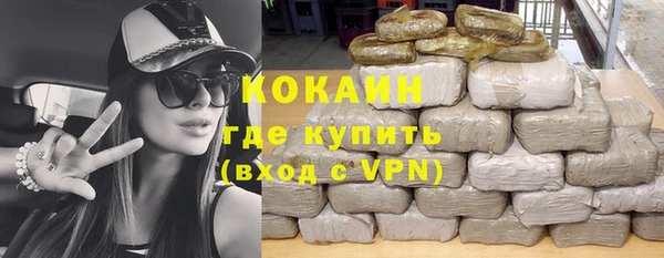 сатива Абинск