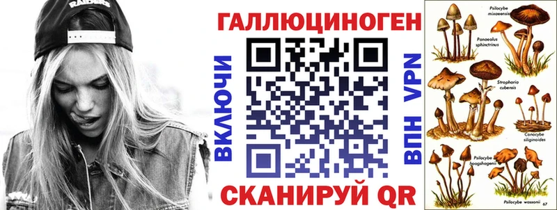 Псилоцибиновые грибы Cubensis сколько стоит Анива